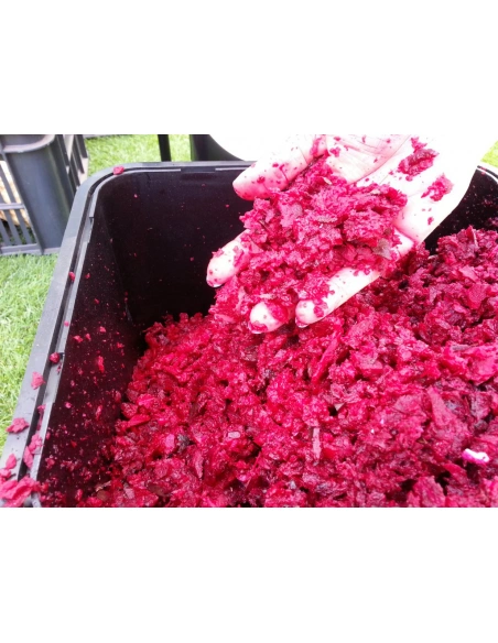 Fruit SHARK MEGALODON - detail drtě červené řepy