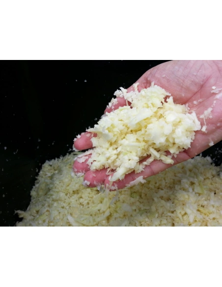 Fruit SHARK MEGALODON - detail drtě zelí